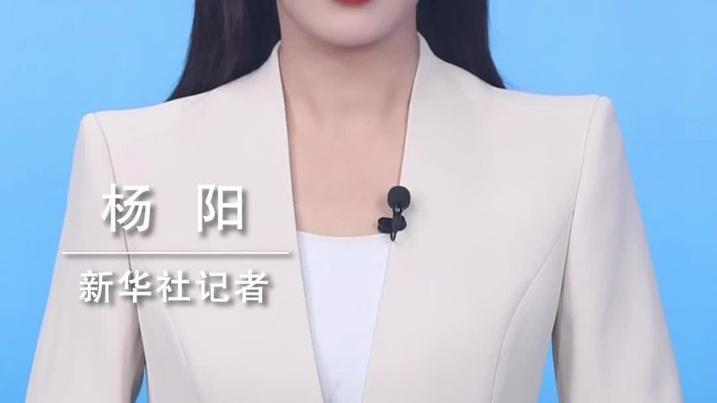 商业智能项目经理：解码其核心工作内容
